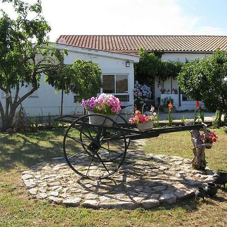 El Condado Casa Rural Fuentes de Onoro 外观 照片