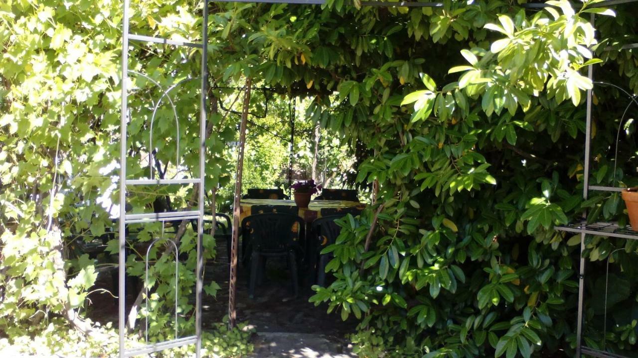 El Condado Casa Rural Fuentes de Onoro 外观 照片