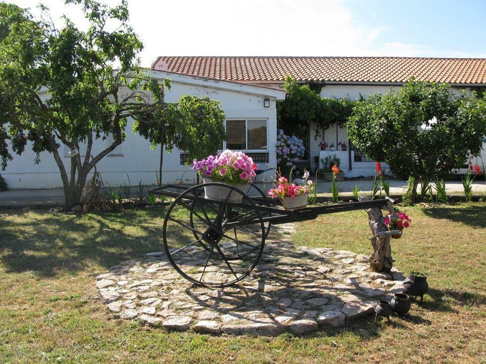 El Condado Casa Rural Fuentes de Onoro 外观 照片